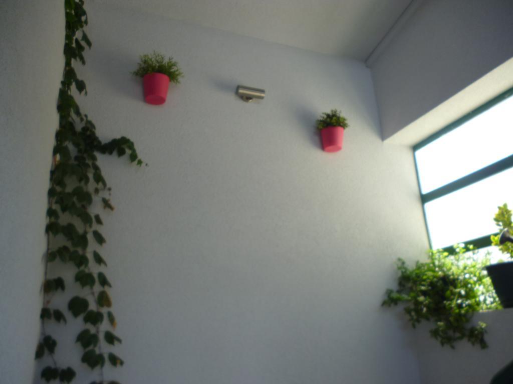 Apartment Duje Makarska Exterior foto